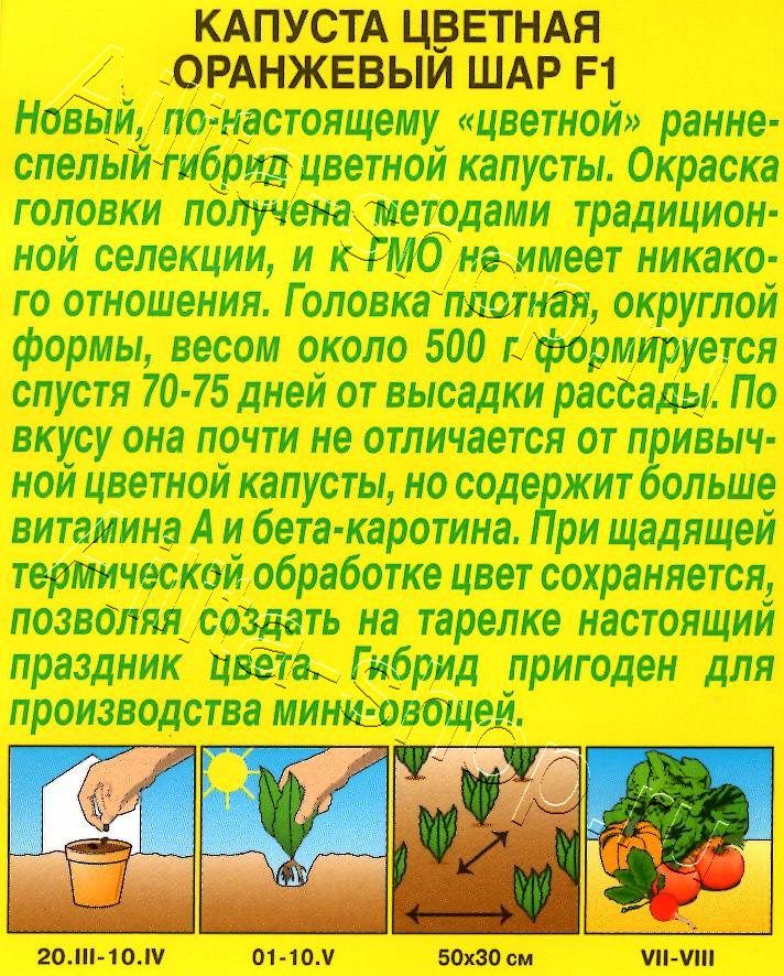 Капуста цветная Оранжевый шар F1 5шт