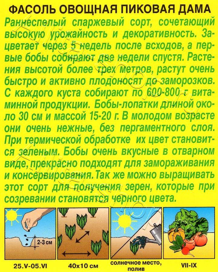 Фасоль овощная Пиковая дама 5г