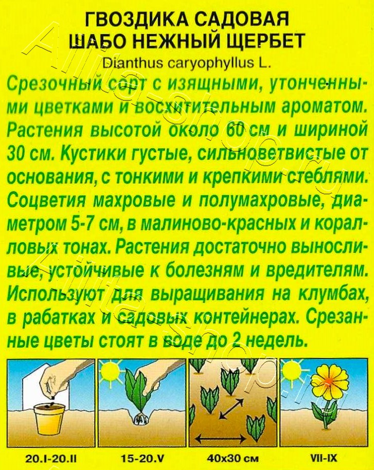 Гвоздика Шабо Нежный щербет 0,05г