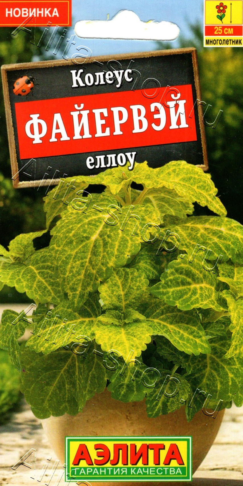 Колеус Файервэй еллоу 5шт
