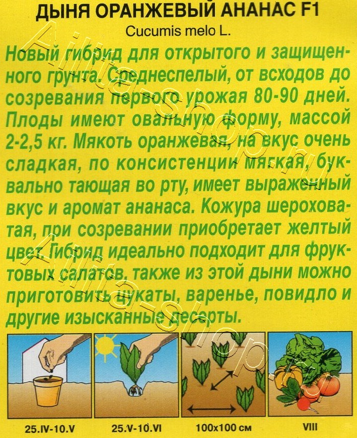 Дыня Оранжевый ананас F1 5шт