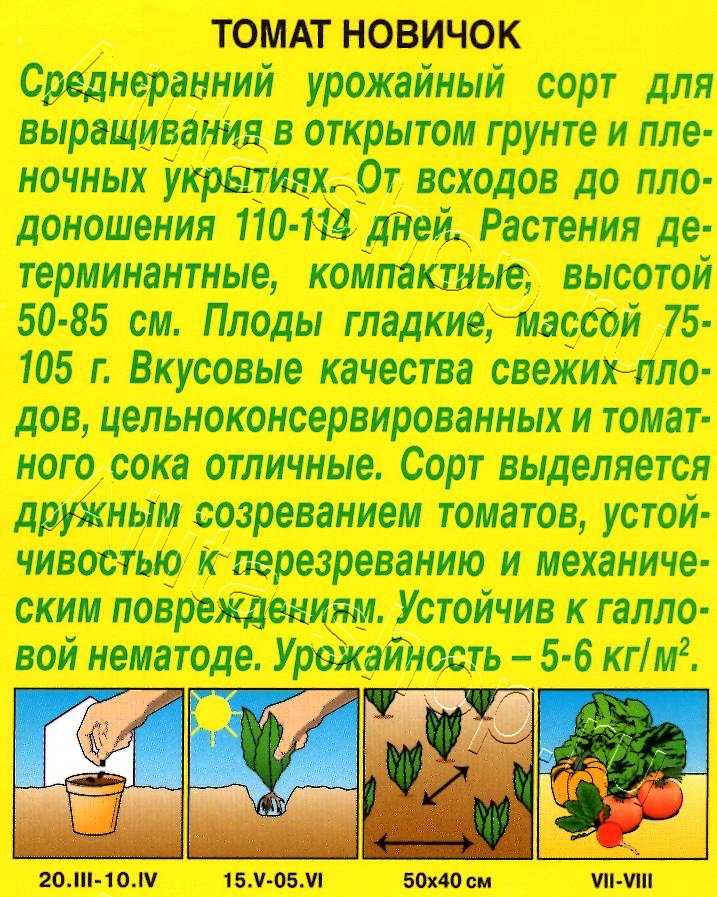 Томат Новичок 20шт
