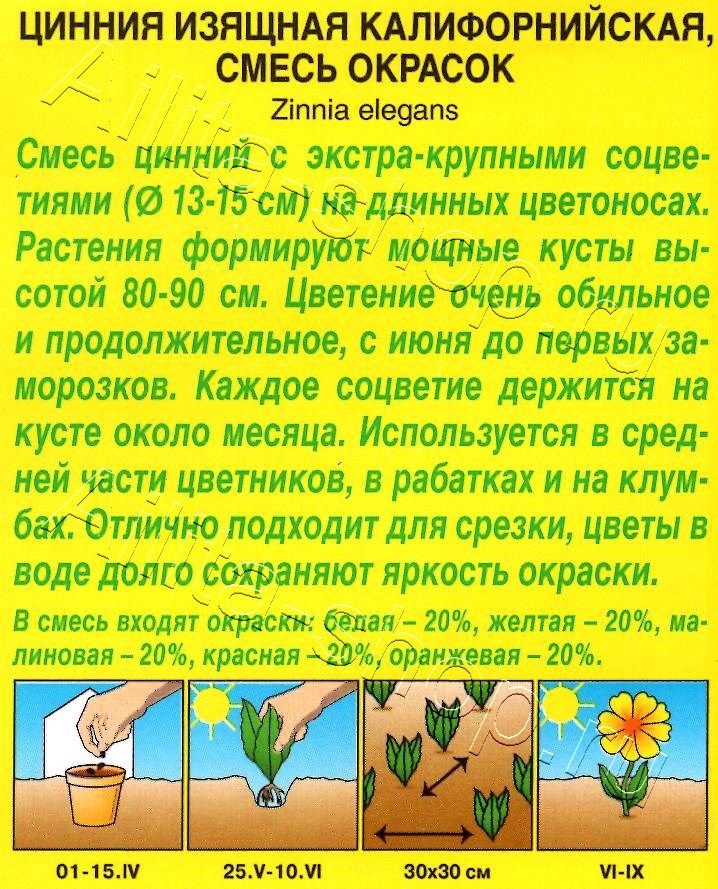 Цинния Калифорнийская, смесь окрасок 0,5г