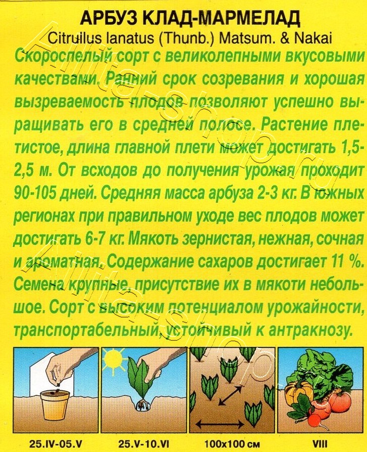 Арбуз Клад-мармелад 1г