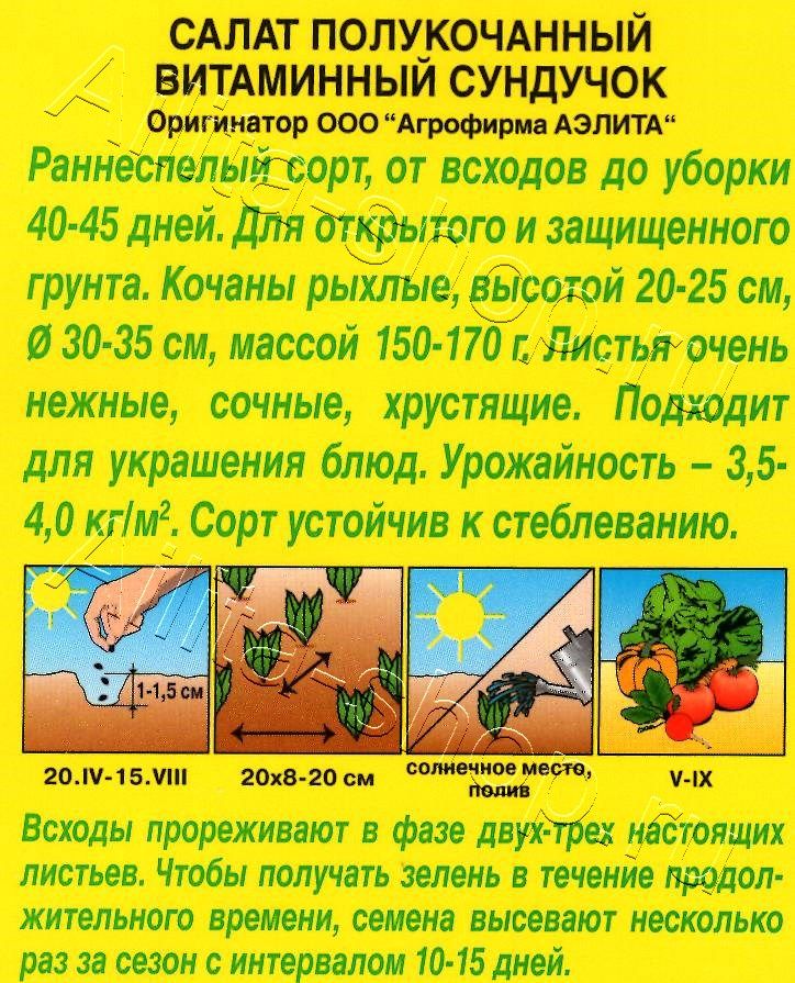 Салат Витаминный сундучок полукочанный 0,5г