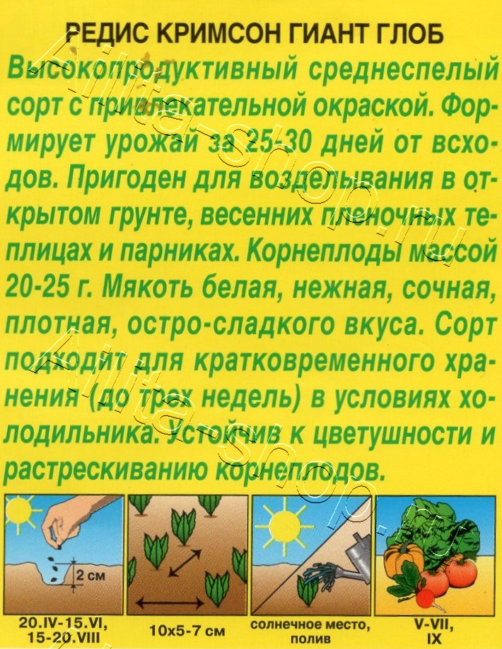Редис Кримсон гиант глоб 2г