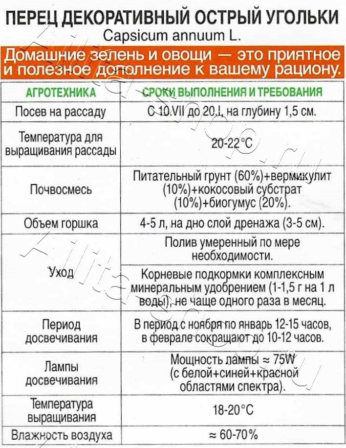 Перец декоративный острый Угольки 10шт