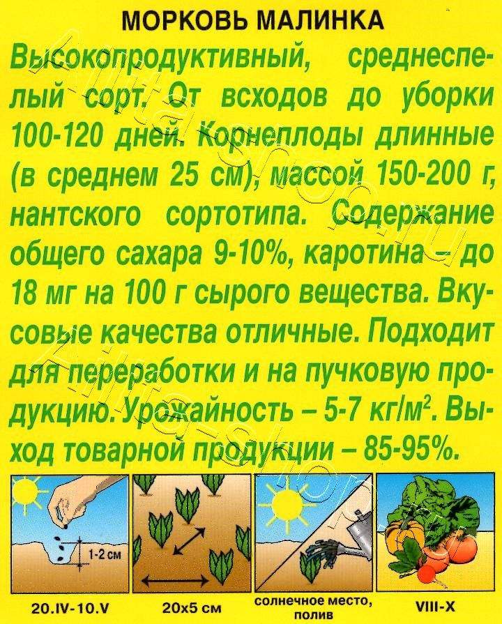 Морковь Малинка 2г