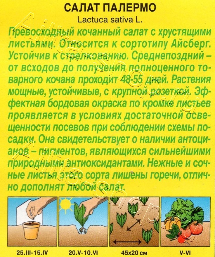 Салат Палермо 0,5г