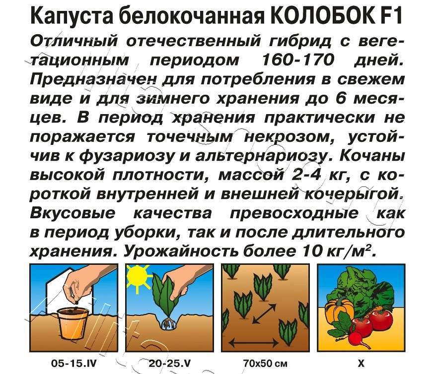 Капуста белокочанная Колобок F1 20шт