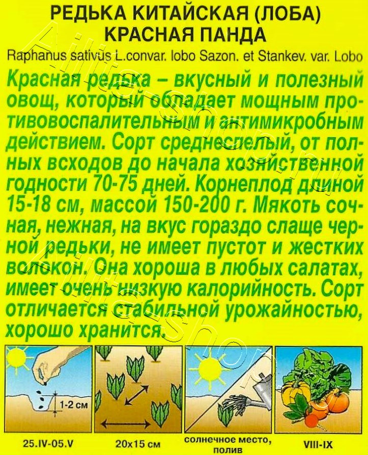 Редька Красная панда 10шт