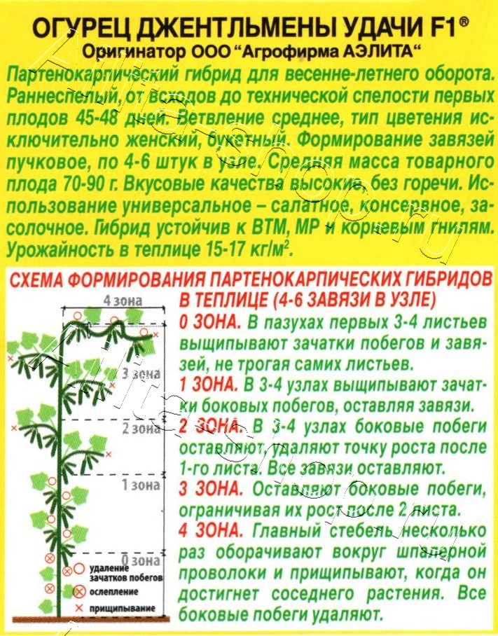 Огурец Джентльмены удачи F1 10шт