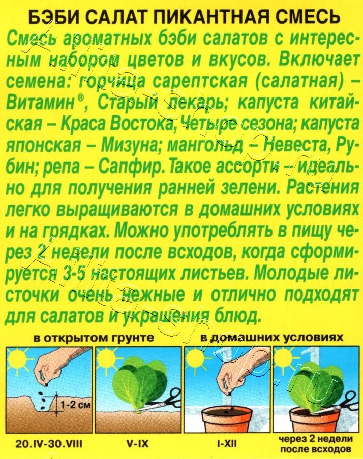 Бэби салат Пикантная смесь 0,5г