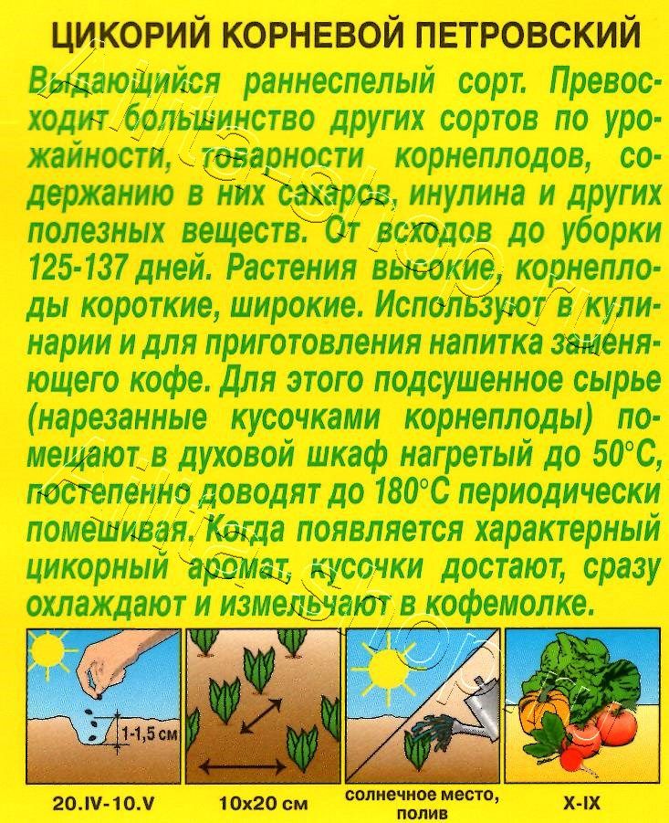 Цикорий корневой Петровский 0,5г