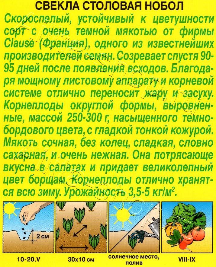 Свекла столовая Нобол 1г