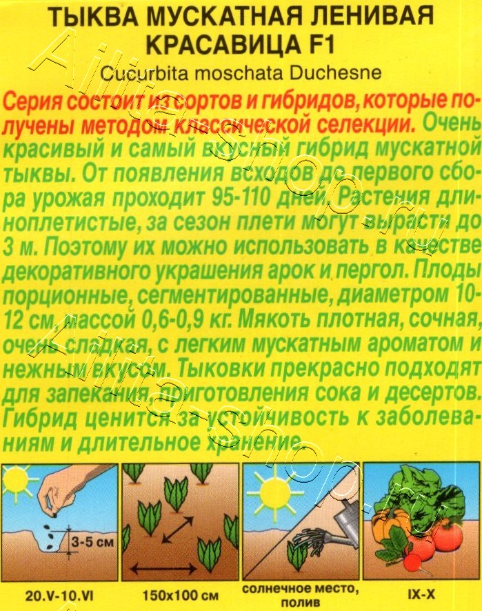 Тыква мускатная Ленивая красавица F1 5шт