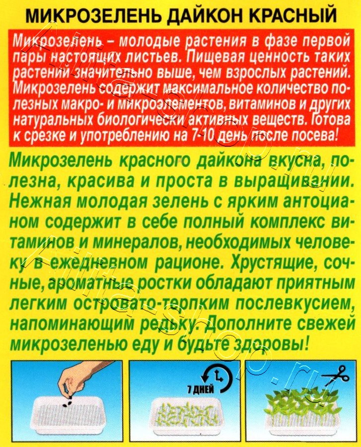 Микрозелень Дайкон красный 1г