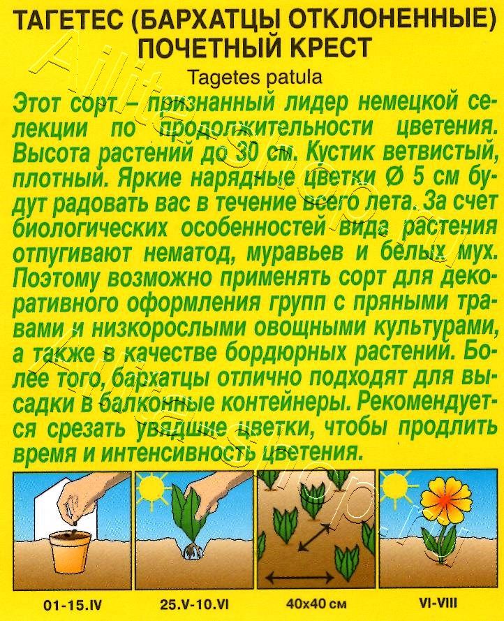 Бархатцы Почетный крест 0,2г