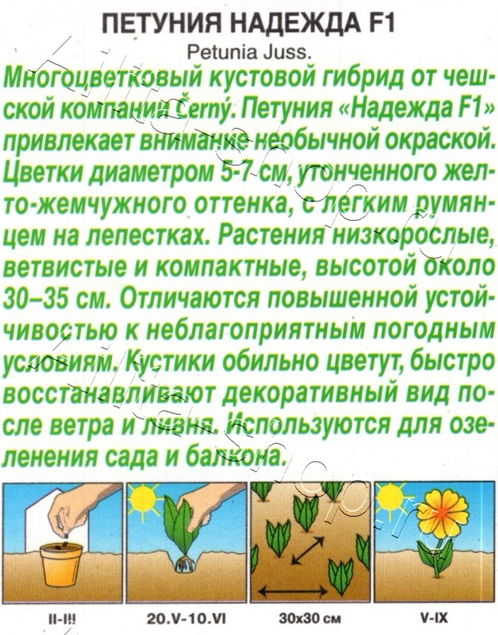 Петуния Надежда F1 многоцветковая 7шт