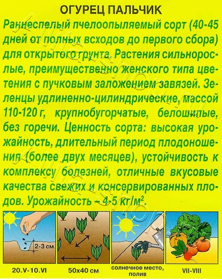 Огурец Пальчик 10шт