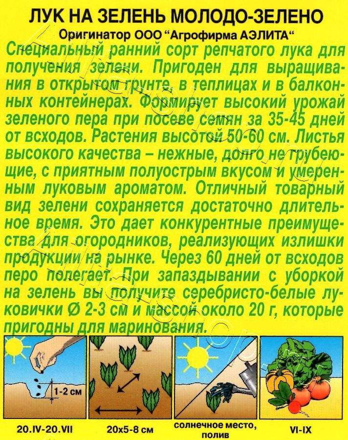 Лук репчатый Молодо-зелено 0,5г