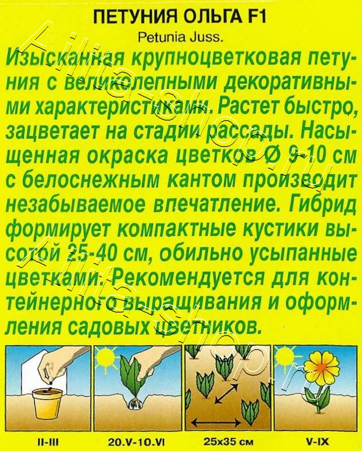 Петуния Ольга F1 крупноцветковая 7шт