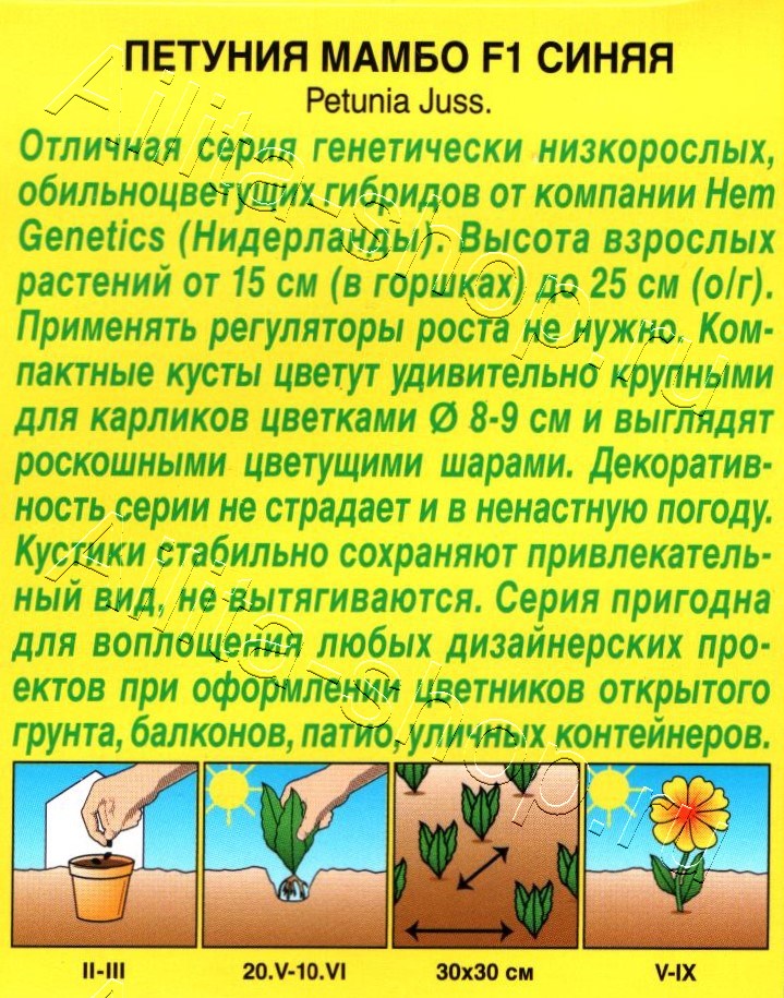 Петуния Мамбо F1 синяя многоцветковая 7шт