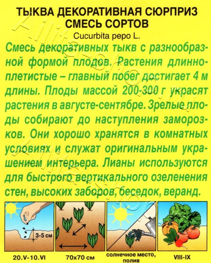 Тыква декоративная Сюрприз, смесь 1г