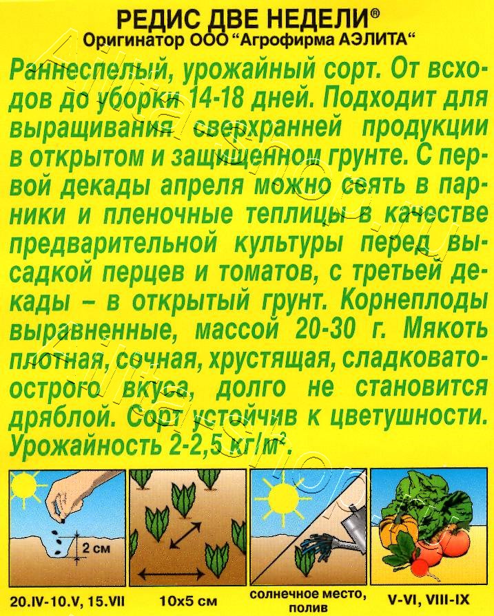 Редис Две недели 2г