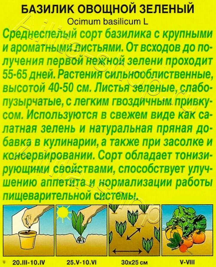 Базилик овощной Зеленый 0,2г