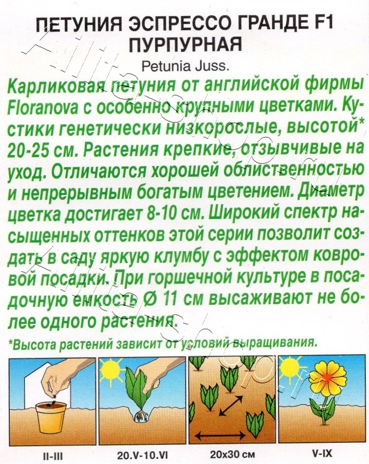 Петуния Эспрессо Гранде F1 крупноцветковая пурпурная 7шт