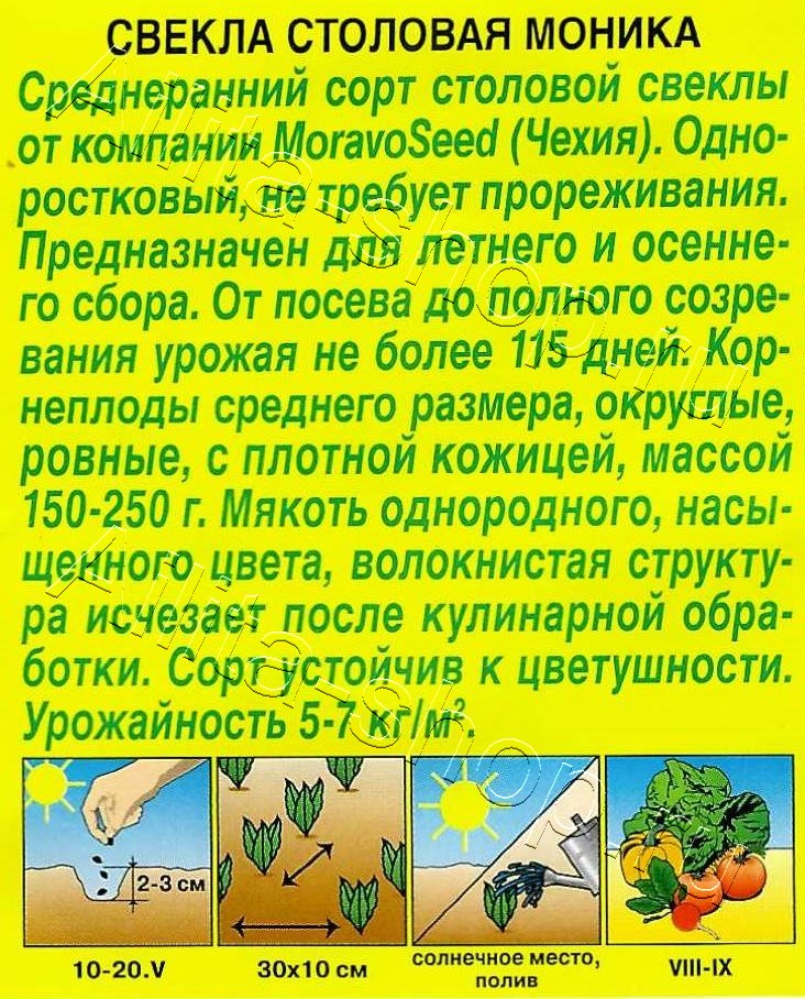 Свекла столовая Моника 1г