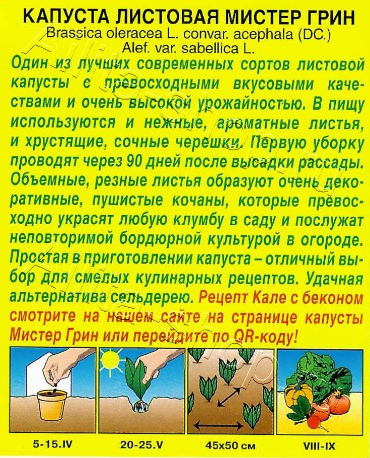 Капуста листовая Мистер Грин 5шт
