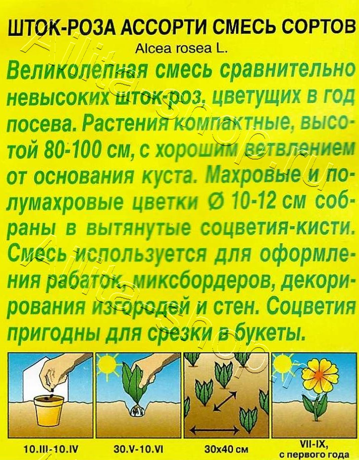 Шток-роза Ассорти, смесь сортов 15шт