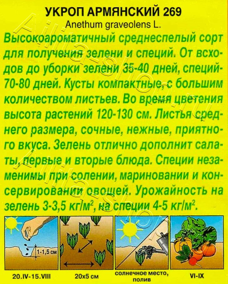 Укроп Армянский 269 2г