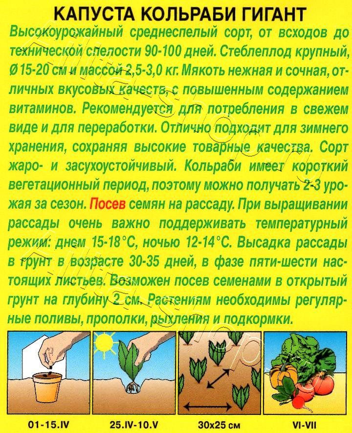 Капуста кольраби Гигант 0,3г