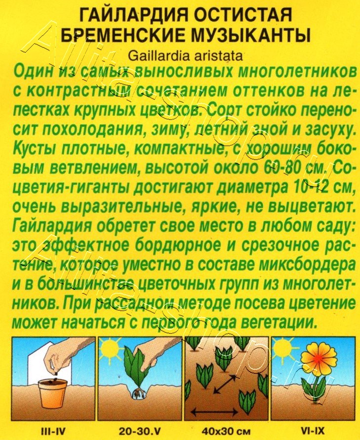 Гайлардия Бременские музыканты 0,1г