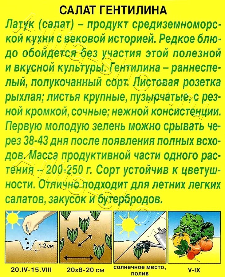 Салат Гентилина 0,5г