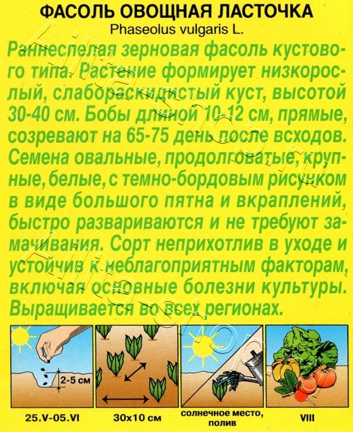 Фасоль обыкновенная Ласточка 5г