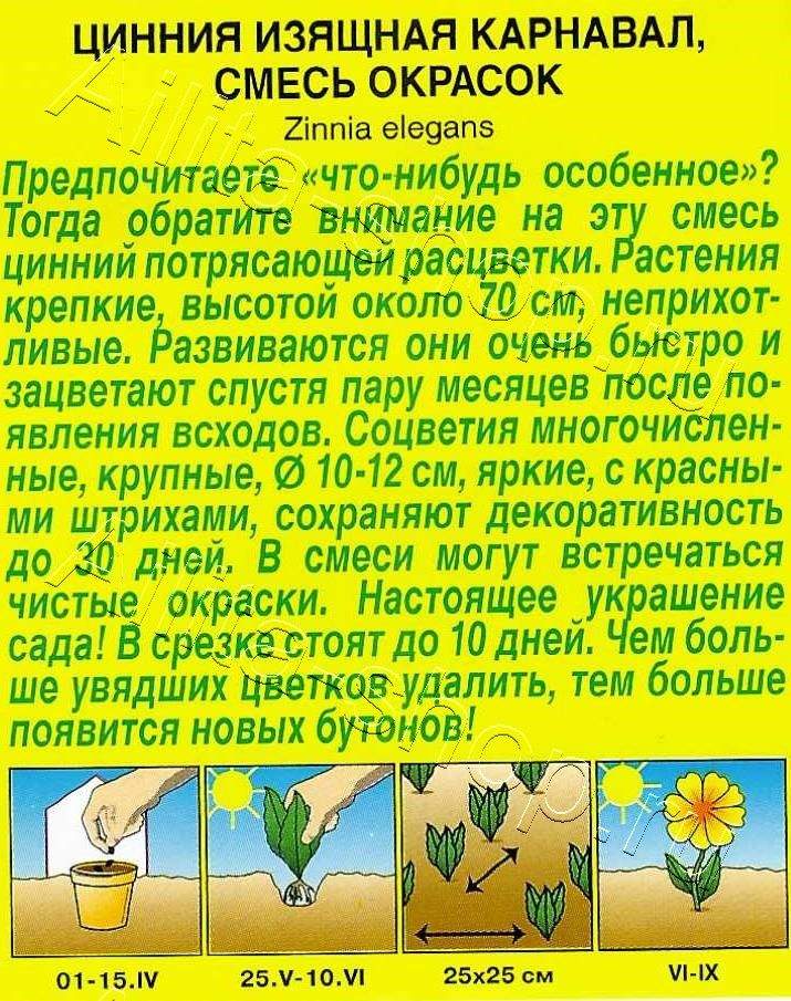 Цинния Карнавал, смесь окрасок 0,3г