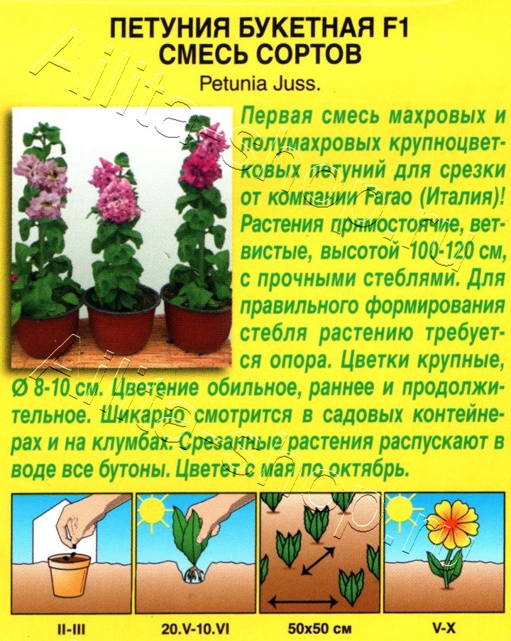 Петуния Букетная F1 крупноцветковая махровая, смесь сортов 5шт
