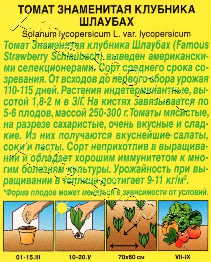 Томат Знаменитая клубника Шлаубах 10шт