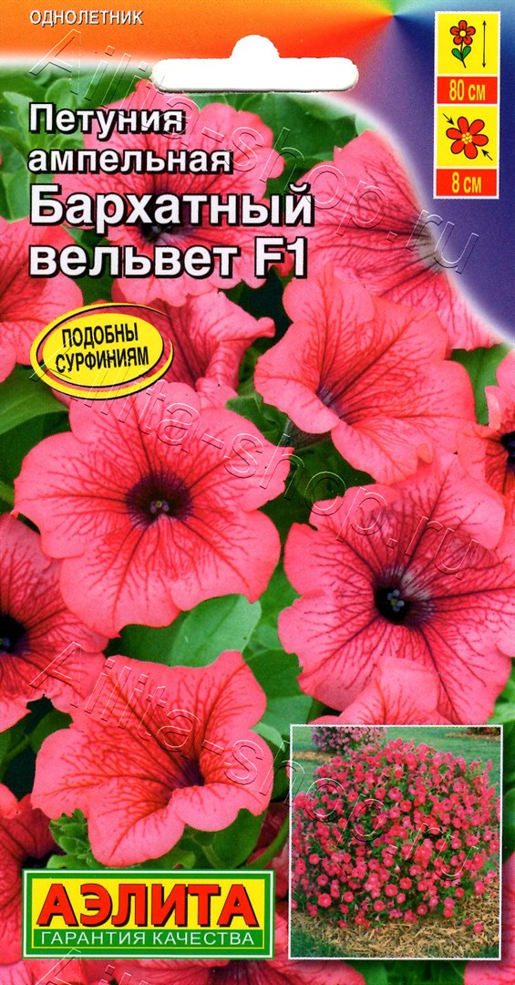 Петуния Бархатный вельвет F1 ампельная 4шт