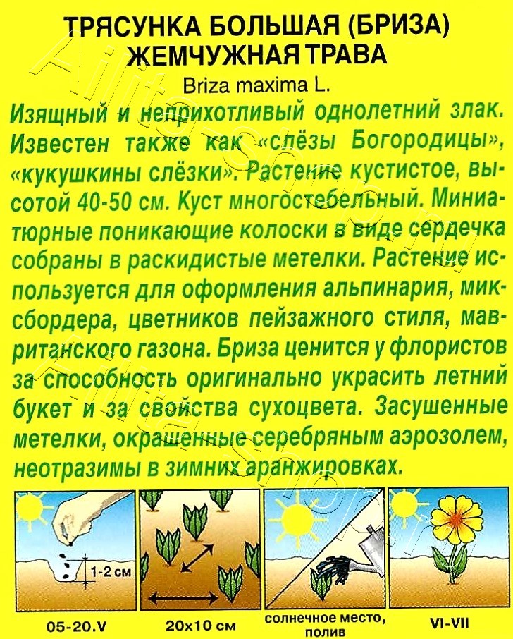 Бриза Жемчужная трава 0,2г