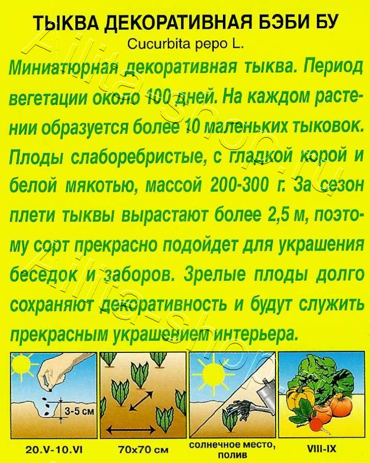 Тыква декоративная Бэби бу 0,5г