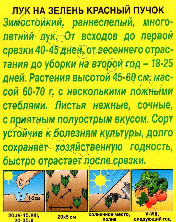 Лук на зелень Красный пучок 0,3г