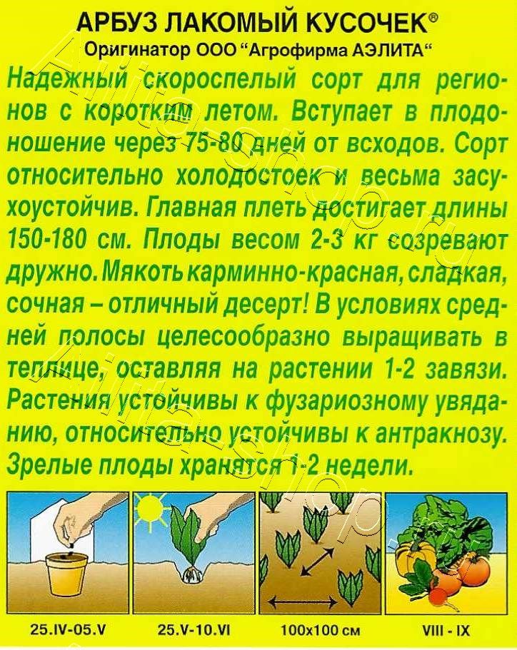 Арбуз Лакомый кусочек 1г