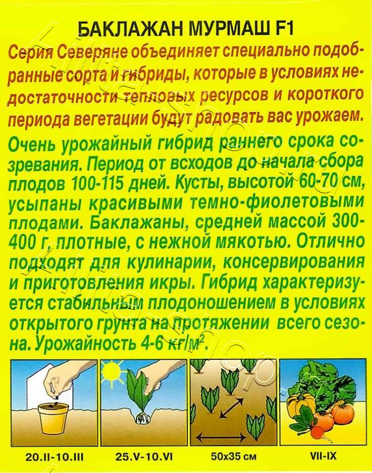 Баклажан Мурмаш F1 10шт
