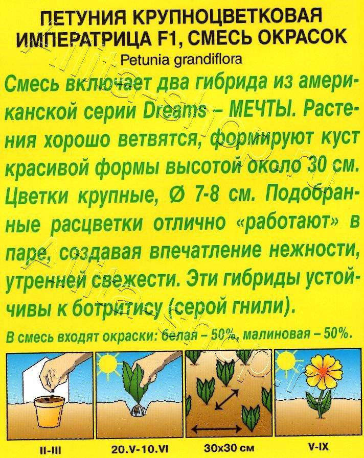Петуния Императрица F1 крупноцветковая, смесь окрасок 10шт