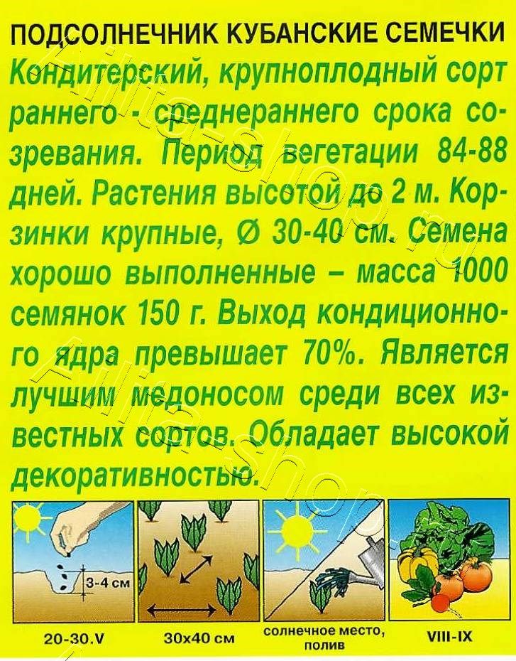 Подсолнечник Кубанские семечки 5г